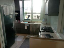 The Sunny Spring (D14), Apartment #631480581